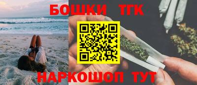 гашик Аргун
