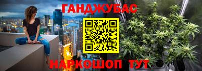 гашик Аргун