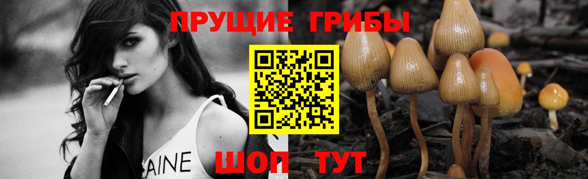 Галлюциногенные грибы Magic Shrooms  Вход с VPN  Вязьма  Псилоцибиновые грибы мухоморы 